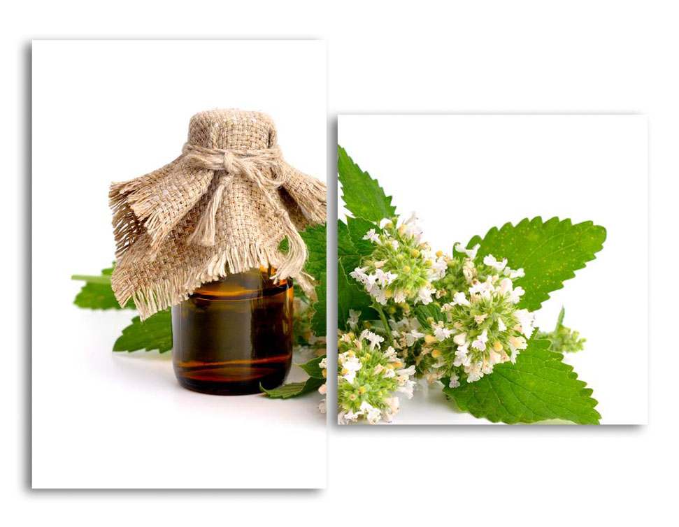 

Модульная картина LaPrint Мята 100х73 см