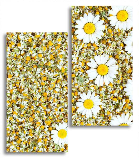 

Модульная картина LaPrint Ромашки 100х116 см