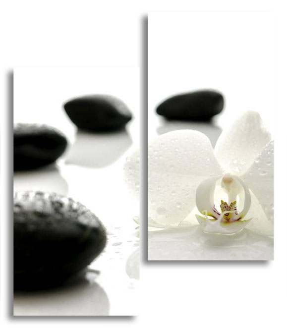 

Модульная картина LaPrint Белая орхидея и галька 100х116 см