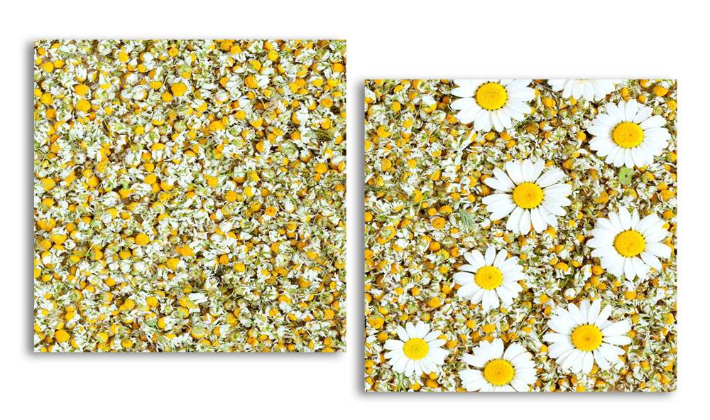 

Модульная картина LaPrint Ромашки 100х54 см