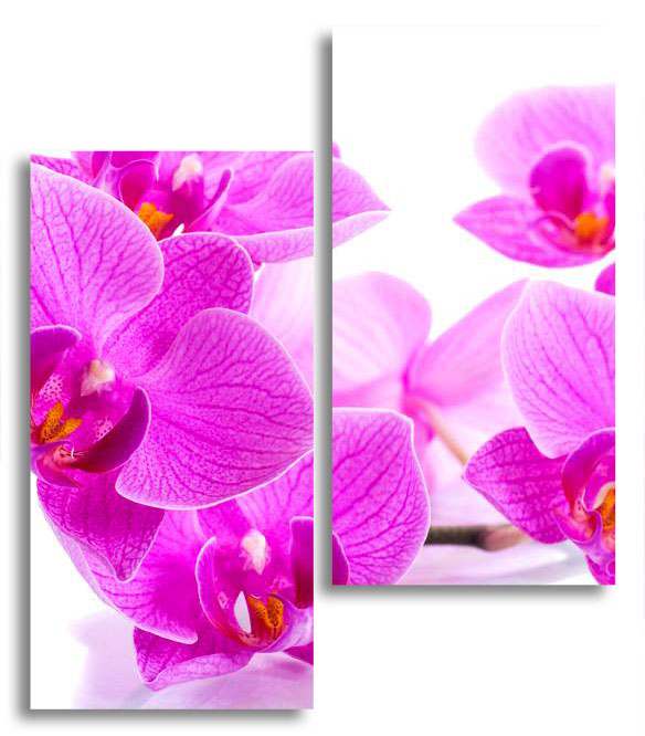 

Модульная картина LaPrint Фиолетовая орхидея 100х116 см