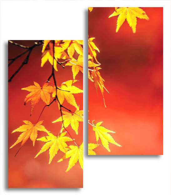 

Модульная картина LaPrint Осень 100х116 см