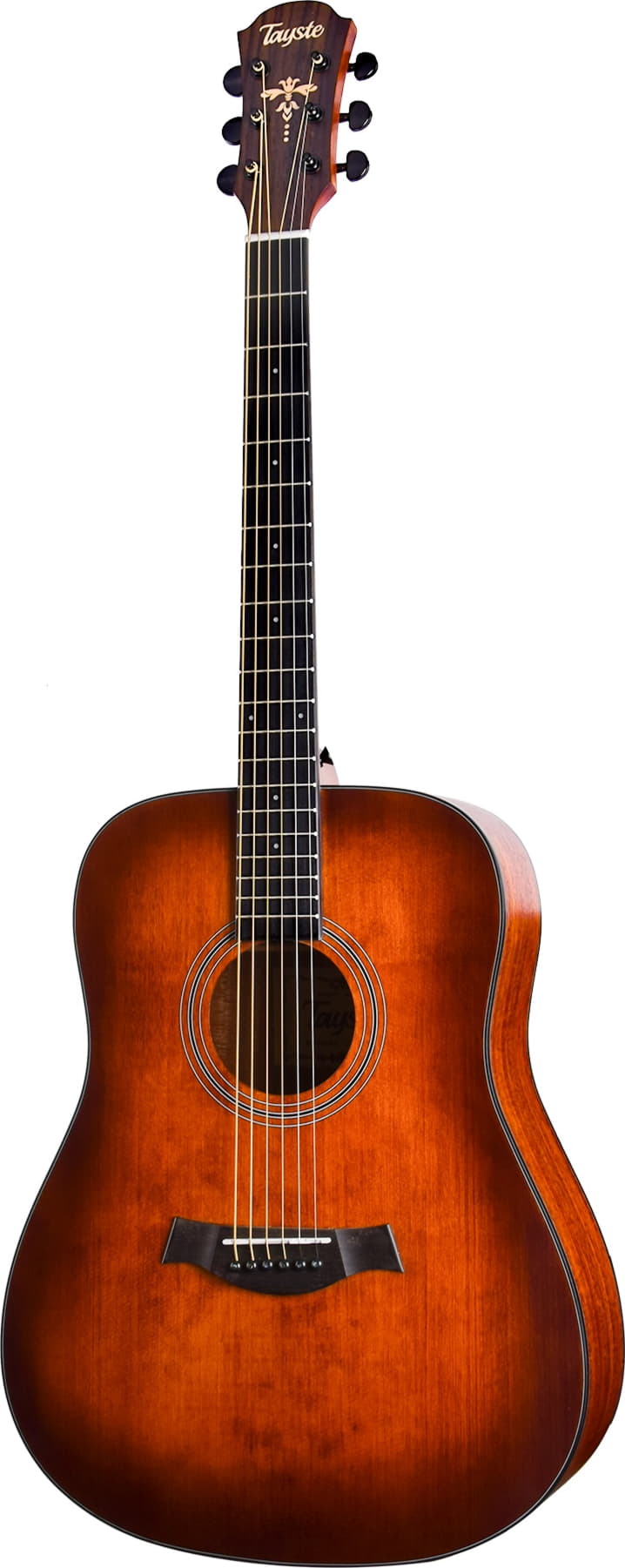 

Акустическая гитара Tayste TS63 CS