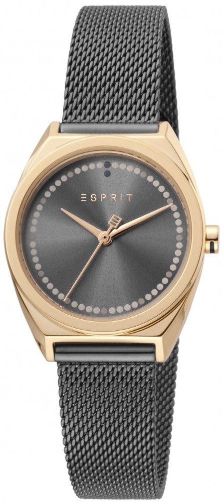 

Часы Esprit ES1L100M0105