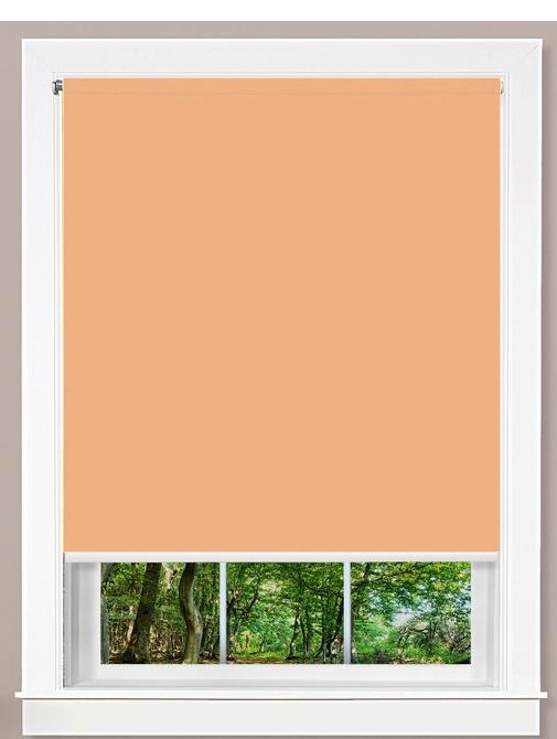 

Ролета Roll Star 92,5x180 см ВО Блэкаут Лососевый (5818)