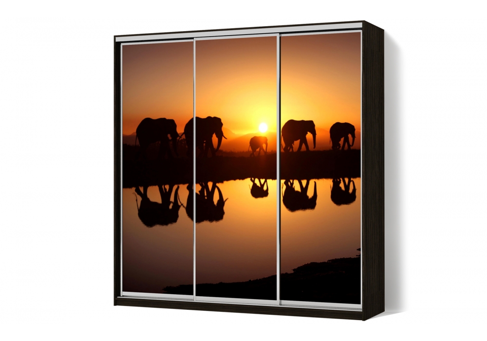 

Шкаф-купе LuxeStudio 3 двери ФМП/ФМП/ФМП рисунок An102 CLS - IV 210 x 200 x 45 см