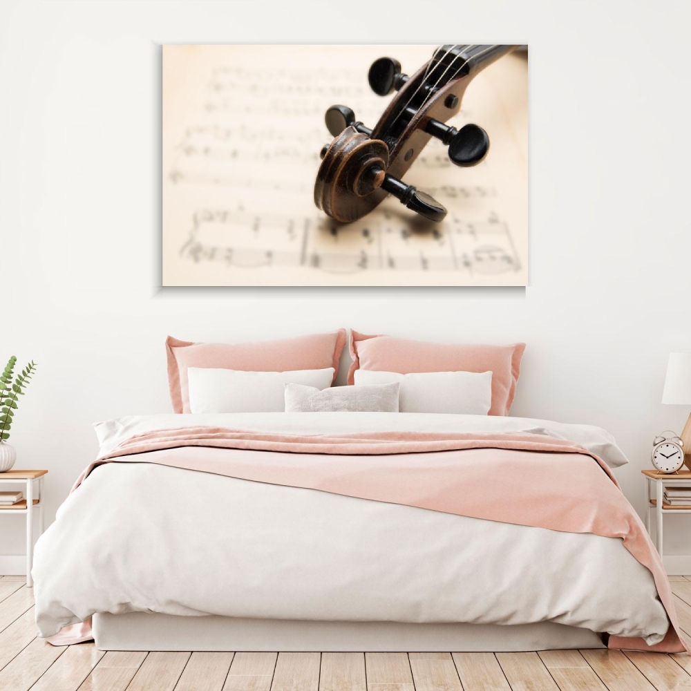 

Картина на холсте Музыка Old Violin 50х65 см.
