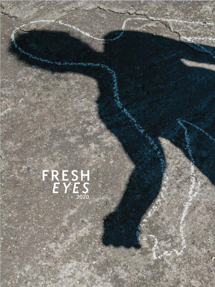 

Книга FRESH EYES 2020 Gup