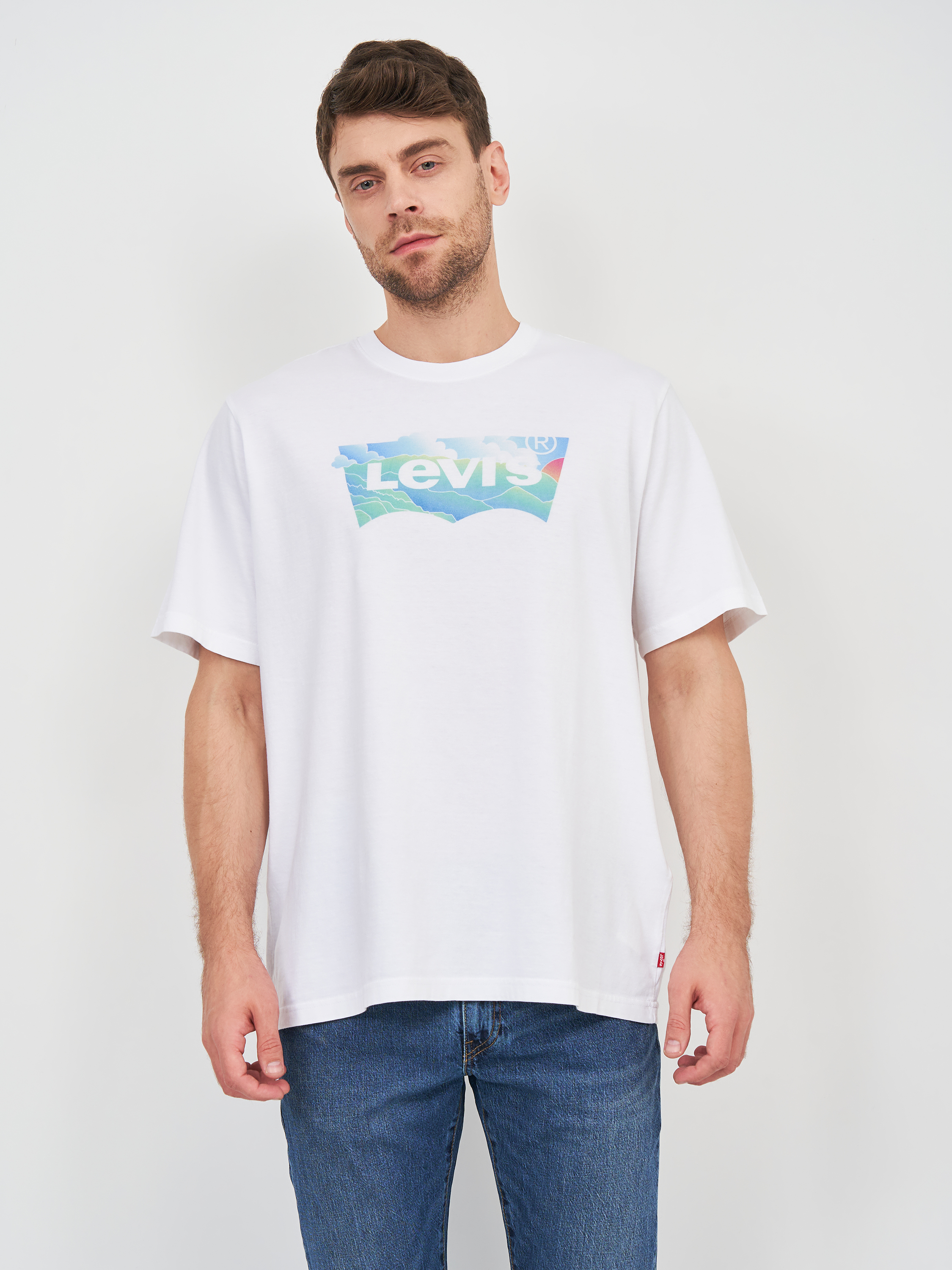 

Футболка Levi's Ss Relaxed Fit Tee Batwing Clouds White 16143-0267, Футболка Levi's Ss Relaxed Fit Tee Batwing Clouds White 16143-0267 XL