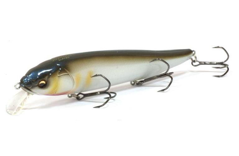 

Воблер Megabass LATES col. PM FUJIKAWA AYU (арт.1234909924287)