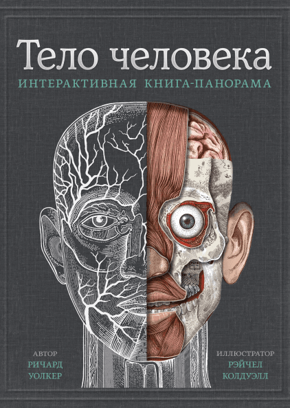 

Тело человека. Интерактивная книга-панорама (9785001690610)