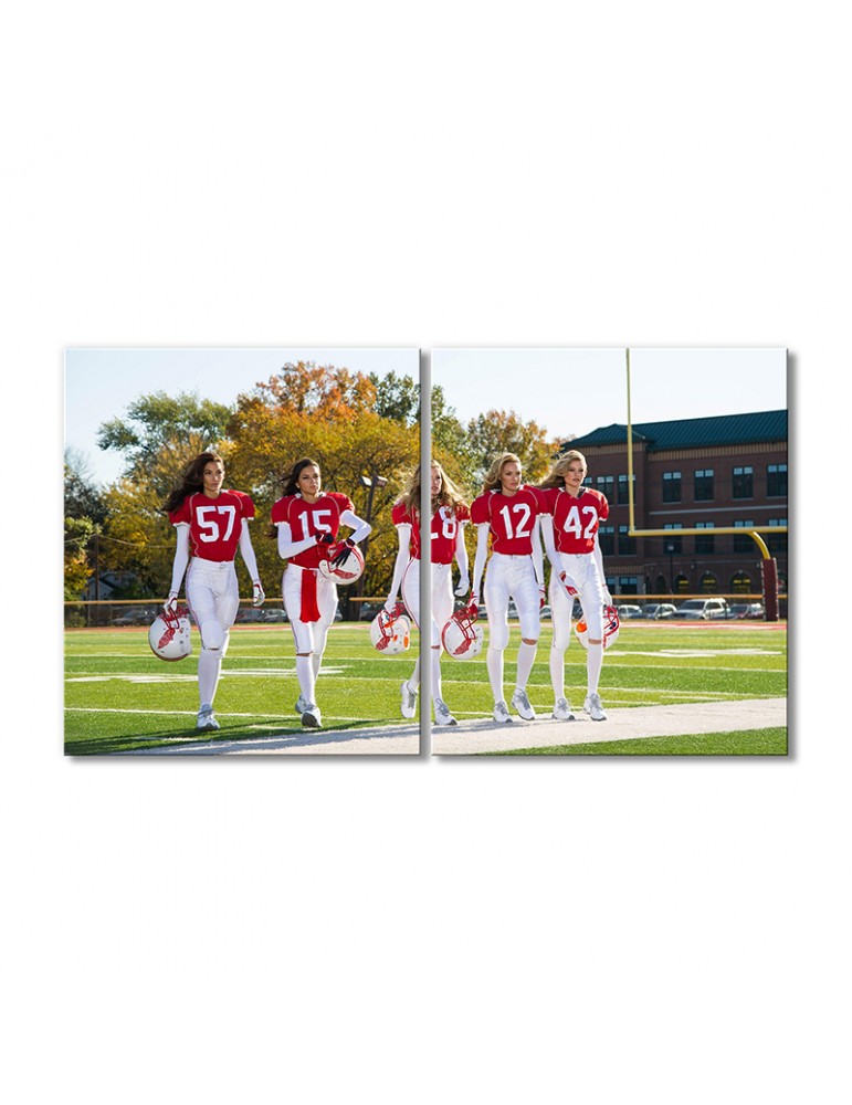 

Модульная картина Artel «Американский футбол» 2 модуля 60x90 см