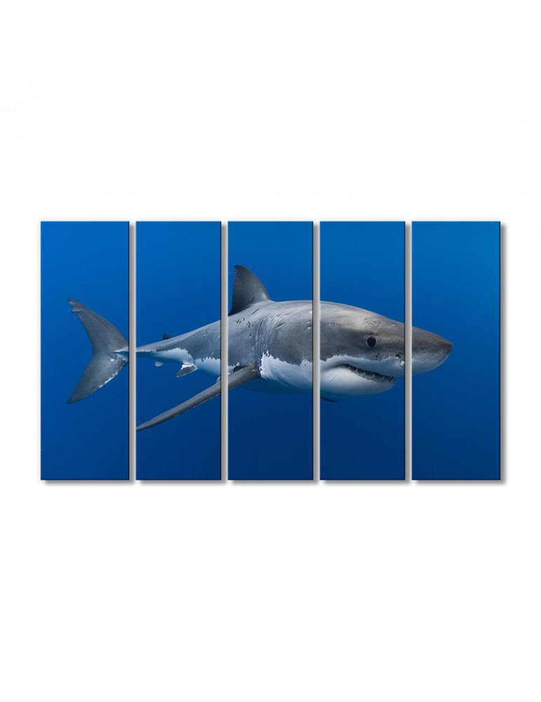 

Модульная картина Artel «Акула-повелитель подводного мира» 5 модулей 120x180 см