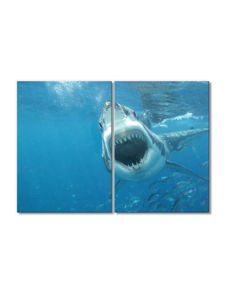 

Модульная картина Artel «Акула показала зубы» 2 модуля 60x90 см