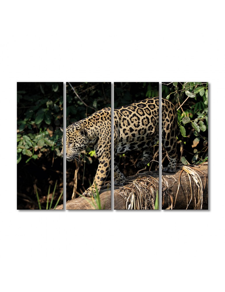 

Модульная картина Artel «Африканский леопард» 4 модуля 90x135 см