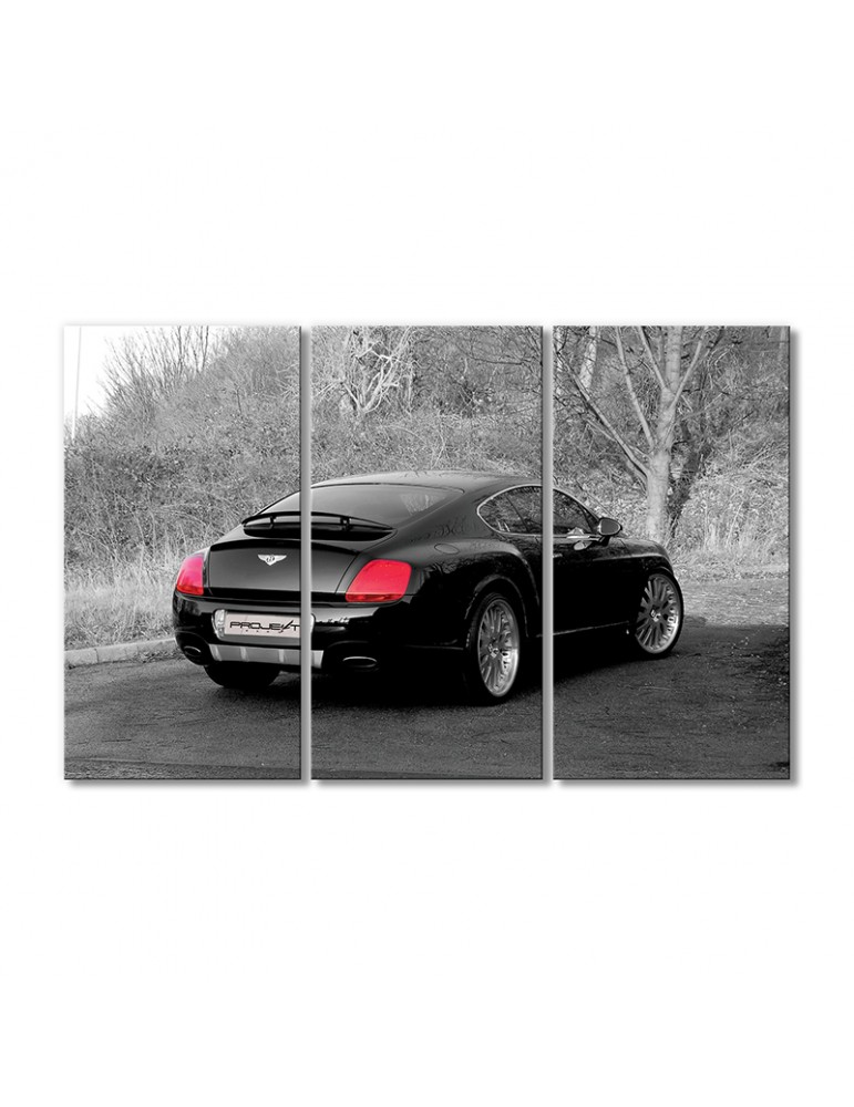 

Модульная картина Artel «Бентли континенталь» 3 модуля 70x105 см