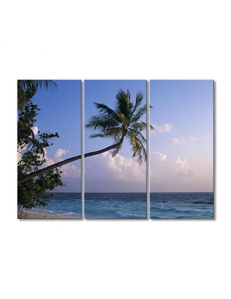 

Модульная картина Artel «Бескрайние океанские просторы» 3 модуля 60x90 см