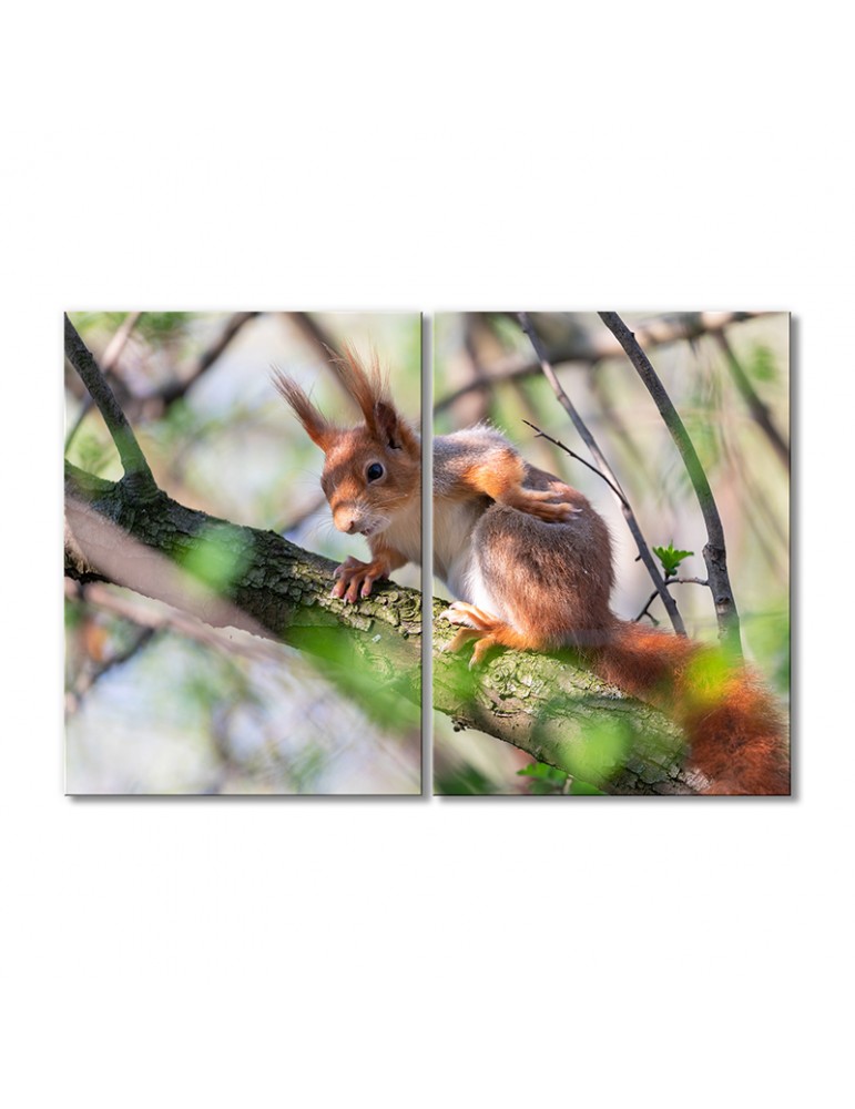 

Модульная картина Artel «Белка на ветке» 2 модуля 50x75 см