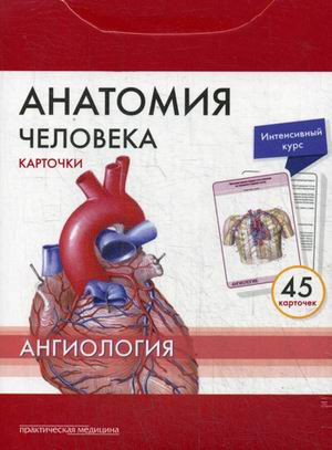 

Сапин, Анатомия человека: КАРТОЧКИ (45шт). Ангиология. Русские и латинские названия анатомических структур (9785988114536) Изд. Практическая Медицина