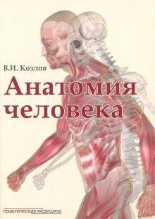 

Козлов В.И. Анатомия человека. Учебник для медицинских вузов (брак) (978-5-98811-493-2) Изд. Практическая Медицина