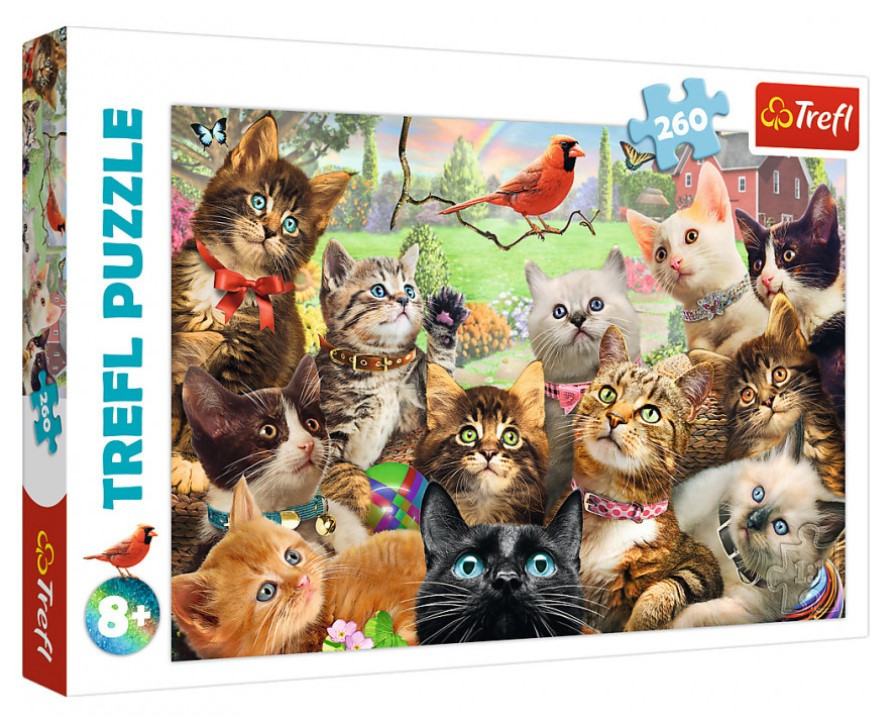 

Пазлы Котята, 260 элементов, Trefl 13241, для детей от 8 лет