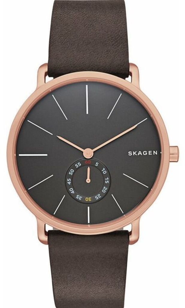 

Часы SKAGEN SKW6213