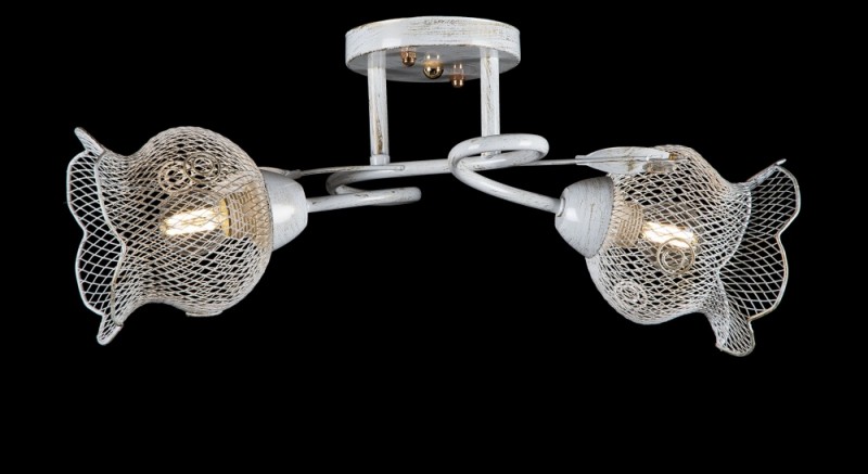 

Люстра с плафонами Ray L7142/2 (WT) (AN002072)