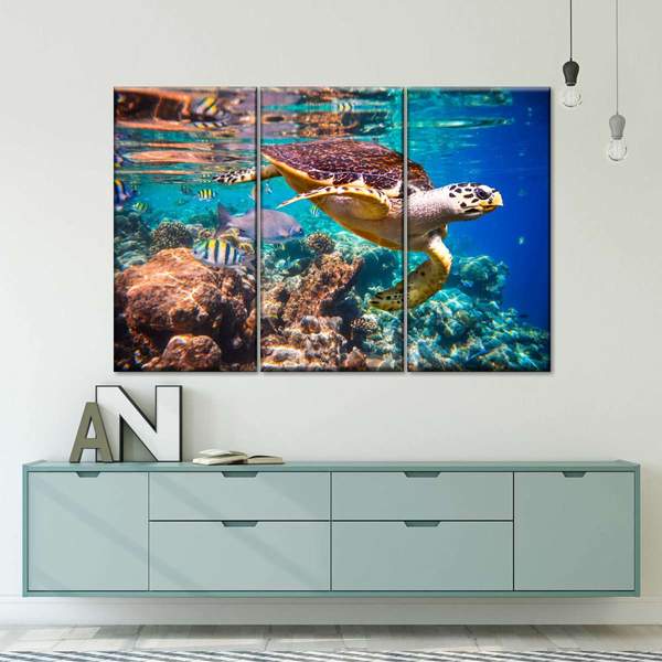 

Модульная картина из трех частей Жизнь на рифе 78x48 см