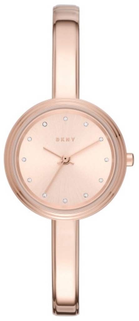 

Часы DKNY2600