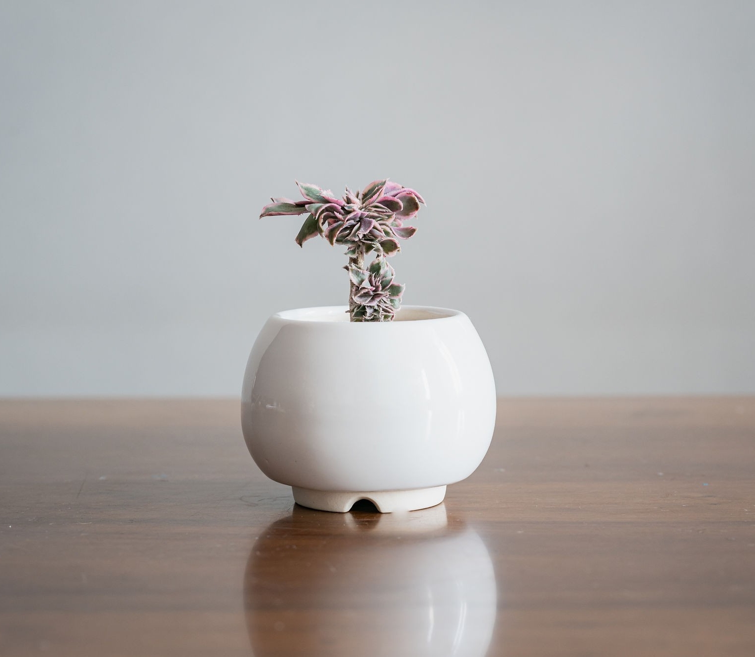 Керамический вазон для цветов Mini Plant маленького размера 6,2х6,3см ...