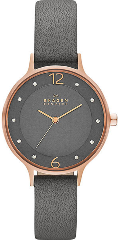 

Часы SKAGEN SKW2267