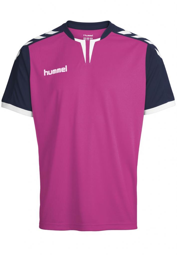 

Футболка Hummel CORE SS POLY JERSEY M МАЛИНОВЫЙ (003-636-4329-M)