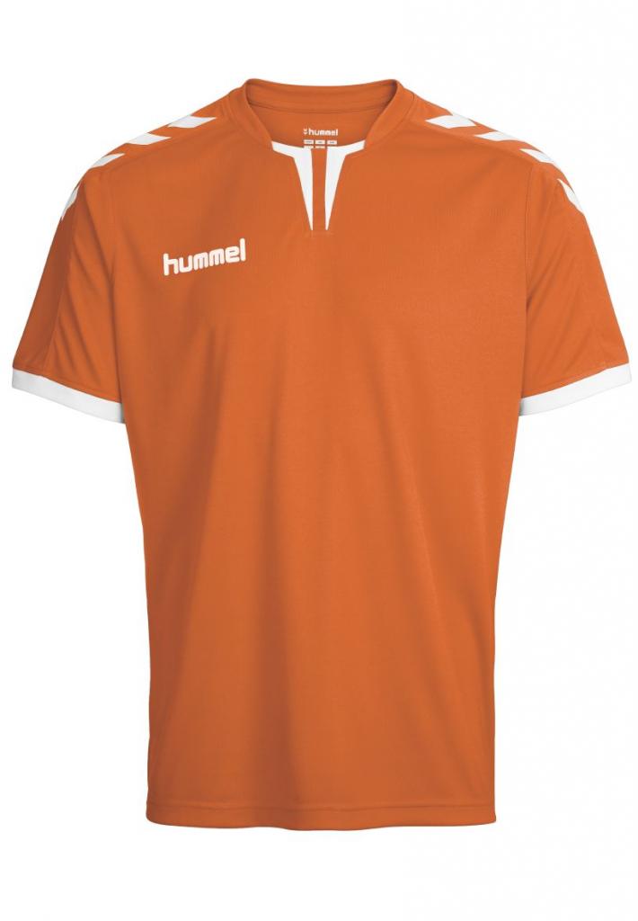 

Футболка Hummel CORE SS POLY JERSEY M ОРАНЖЕВЫЙ (003-636-5006-M)