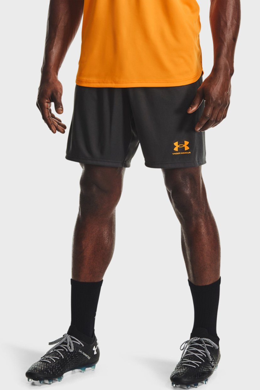 

Мужские серые шорты Challenger Knit Short Under Armour XXL 1365416-010