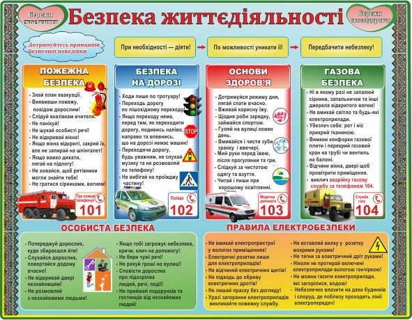 

Безопасность жизнедеятельности ColorIT БЖ110039