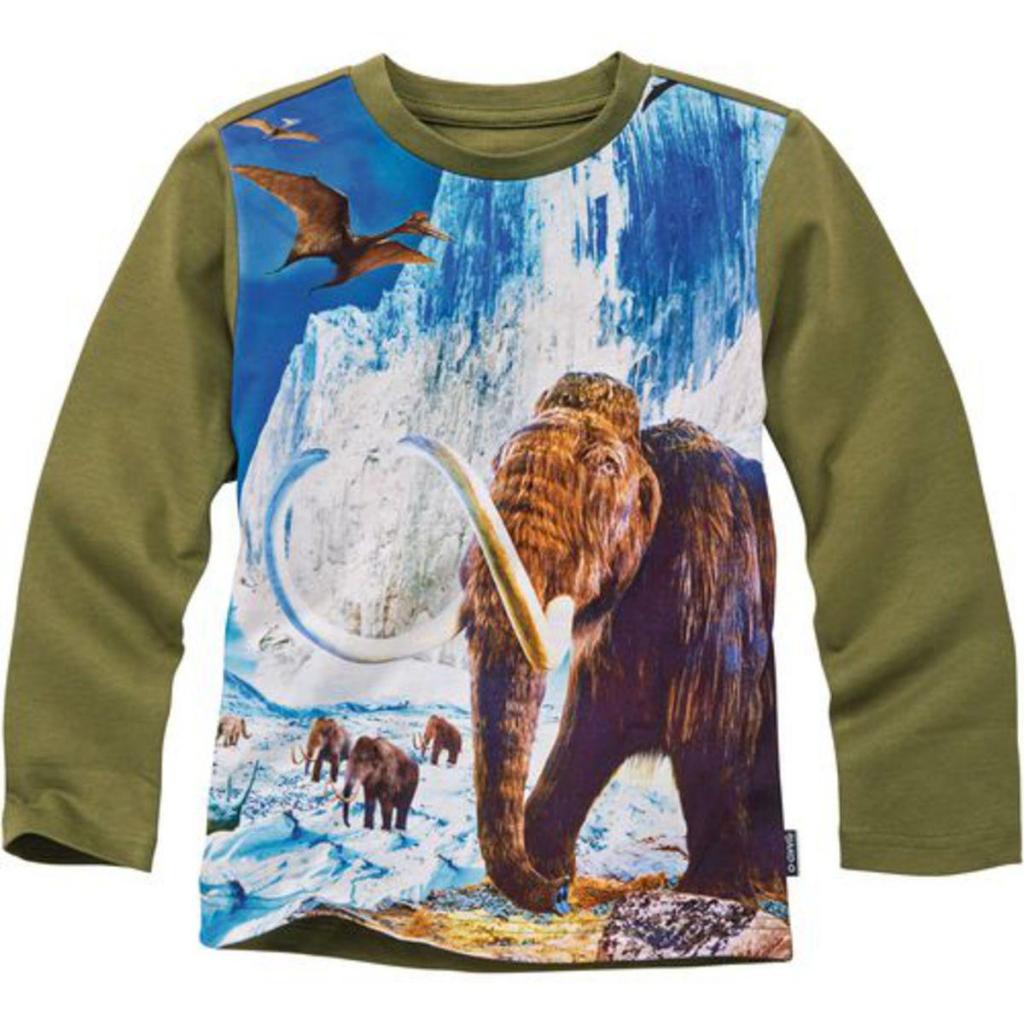 

Кофта для мальчика "Мамонты" Jako-o 104-110 см