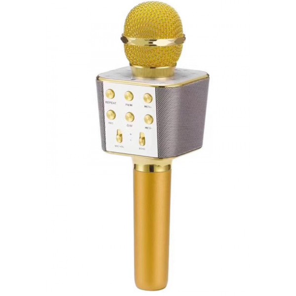 

Беспроводной караоке микрофон WSTER WS-1688 NBZ Bluetooth USB AUX FM Gold