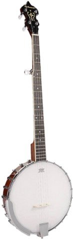 

Банджо Richwood RMB-405 (41-11-2-6)