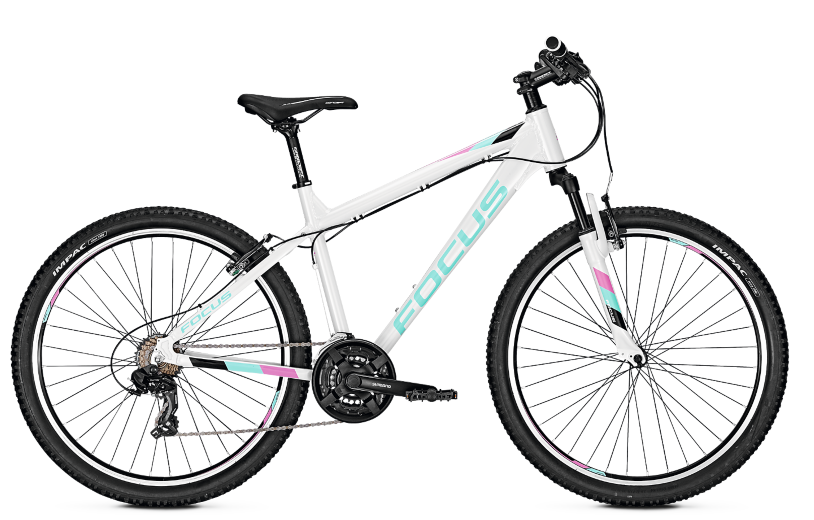 

Велосипед детский Focus Raven Rookie 21G 26" L Белый