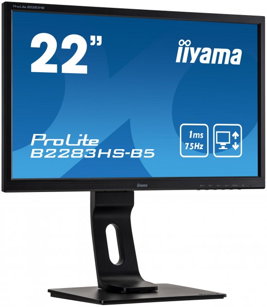 

Монитор IIYAMA ProLite B2283HS-B5 (B2283HSB5)