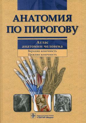 

Анатомия по Пирогову. В 3 томах. Том 1. Верхняя конечность. Нижняя конечность. Атлас анатомии человека