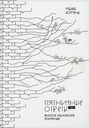 

Пятничные ответы. Многое становится понятным. Том 1