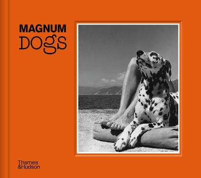 

Magnum Dogs