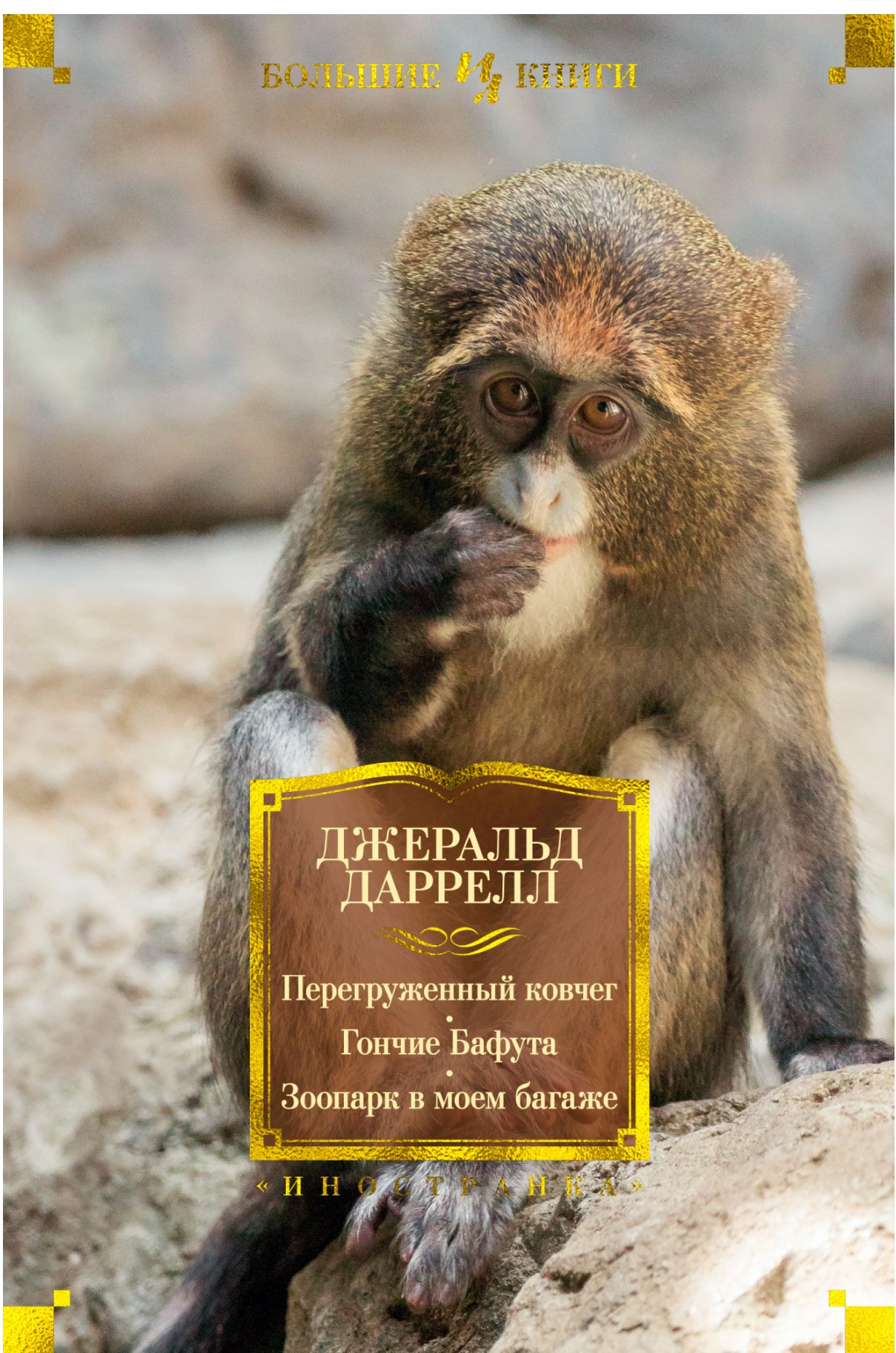 

Перегруженный ковчег. Гончие Бафута. Зоопарк в моем багаже