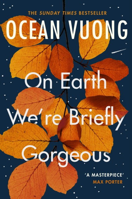 

On Earth We`re Briefly Gorgeous