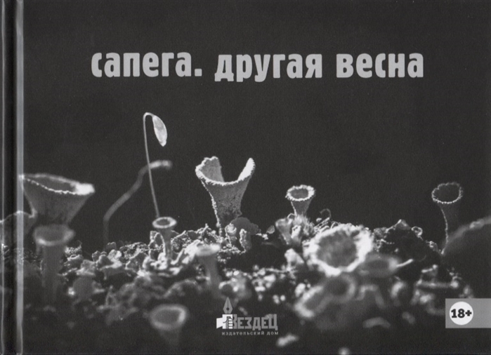

Другая весна