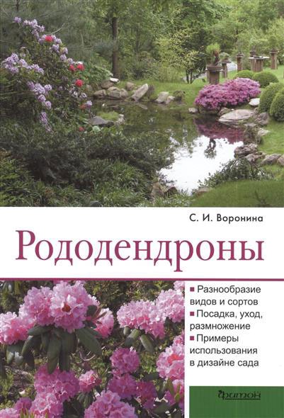 

Рододендроны (700789)