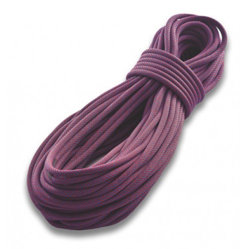 

Динамическая веревка Tendon Ambition 10.5 STD 50 м Фиолетовый