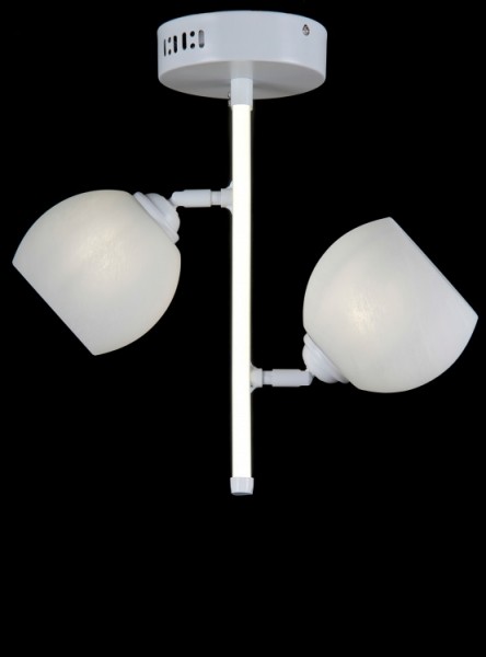 

Люстра с плафонами Ray L05215/2 (White) (AN002452)