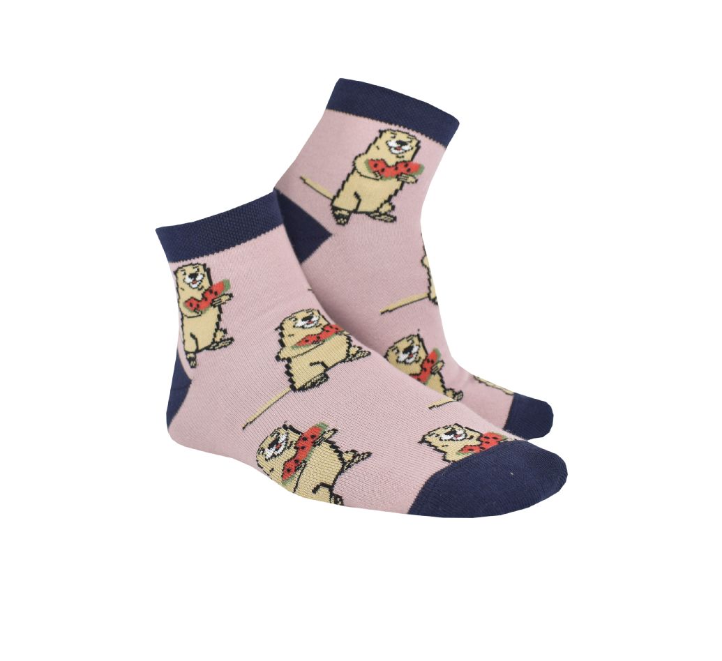 

Женские носки Kaprizo 36-41 Комбинированный 9596